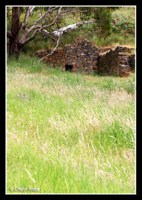 5820-scott-creek-old-ruins