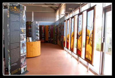 9224-gluepot-inside-visitors-centre