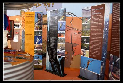 9230-gluepot-inside-visitors-centre