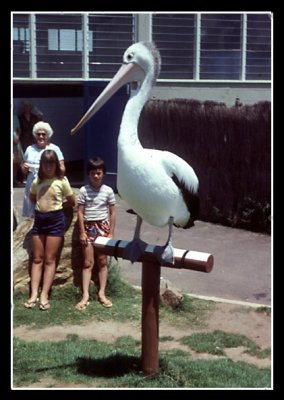 mr-percival-marineland-1970s