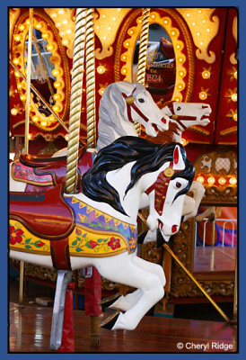 7719- carousel horses and mirrors