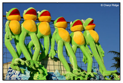 7725- sideshow frogs