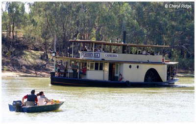 9968- paddlesteamer Canberra