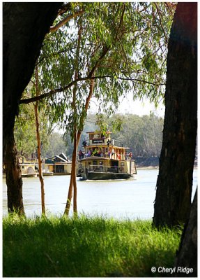 9992- paddlesteamer EmmyLou on the River Murray