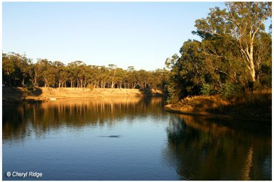 9897- view from our campsite on gunbower island