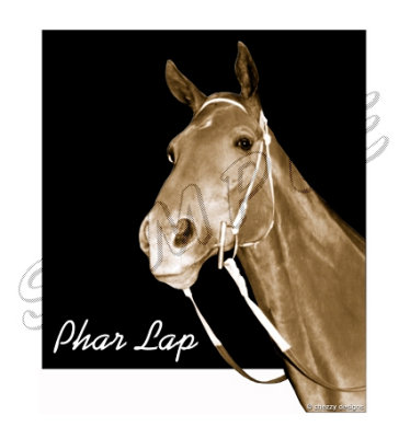 Phar Lap design by Cheryl Ridge / chezzy designs