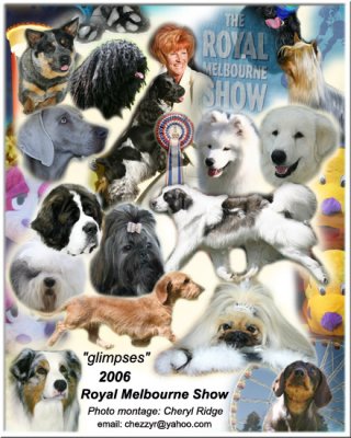 Royal Melbourne Show montage featured in National Dog magazine