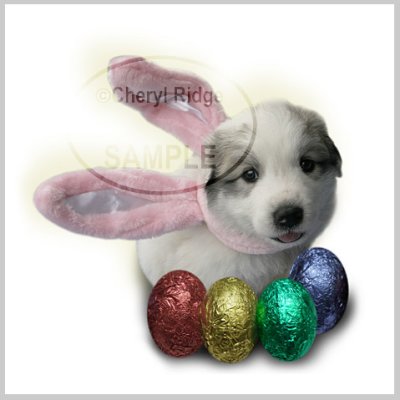 ** easter puppy