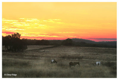 0489b- chiltern- north/north east victoria