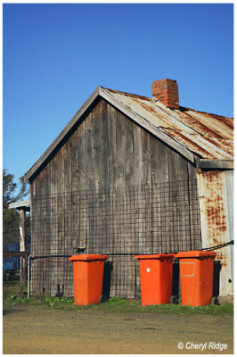 0961-bright-orange-bins