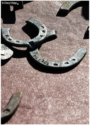 0990- horse shoes