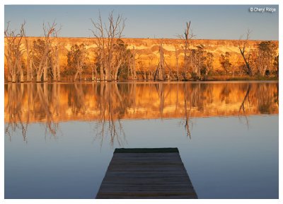 9885b- murray river cliffs at Blanchetown SA