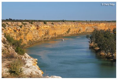 9925b- murray river cliffs at Big Bend near Nildottie SA