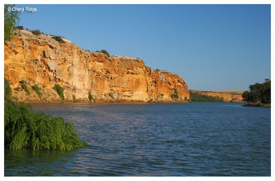 9965b- murray river cliffs near Forster SA