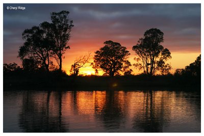 9982- murray river sunrise viewed from Waikerie ferry SA