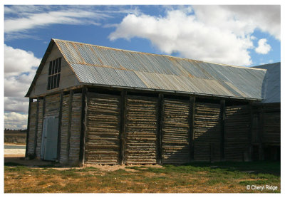 0058b- old shearing shed at Mungo