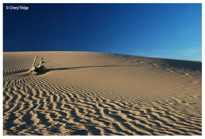 0521- sand dunes at Mungo