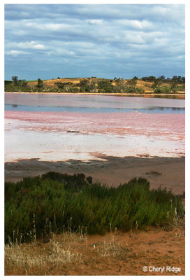 0604- Pink Lakes
