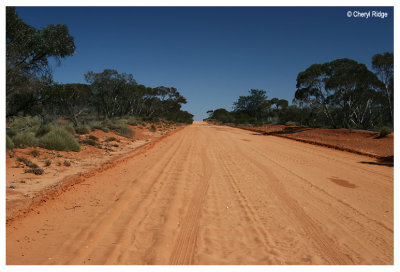 0545- Mungo area - mallee - red dirt road