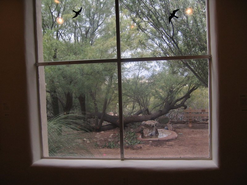 View from Gallery