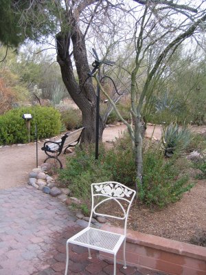 Garden 1