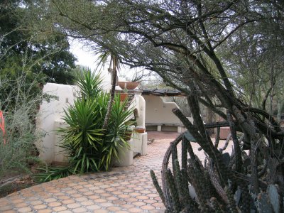 Garden 9