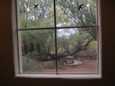 View from Gallery