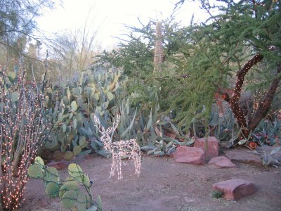 Ethel M's