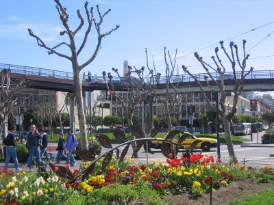 Park04.jpg
