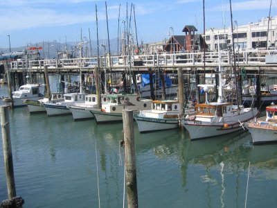 San Fran Harbor1.jpg