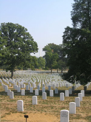 Arlington 12