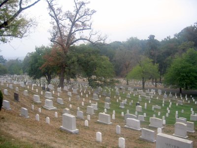 Arlington 3