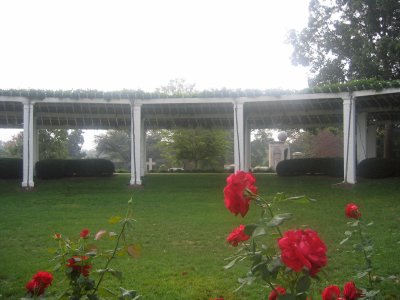 Arlington 5