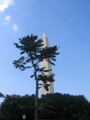 Washington Monument