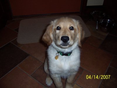 She's 11 weeks old, and likes to have her picture taken.