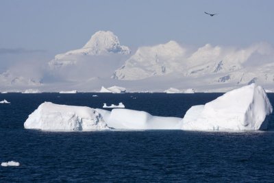 Antarctica 019
