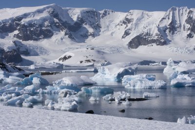 Antarctica 026