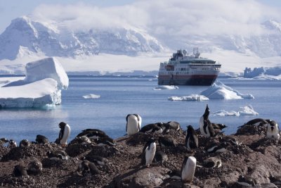 Antarctica 033