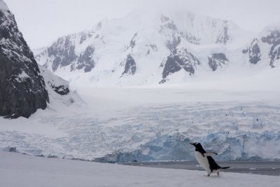 Antarctica 089