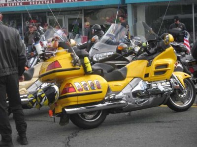 OysterRun012.jpg