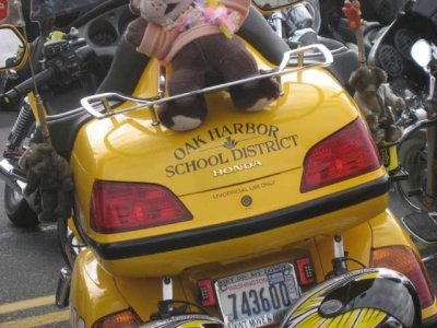 OysterRun013.jpg