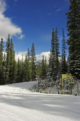 road out of lake louise.jpg