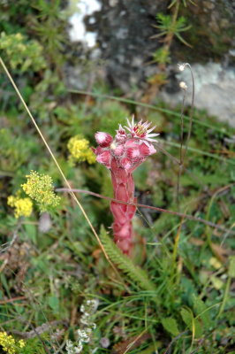 DSC_5012.jpg