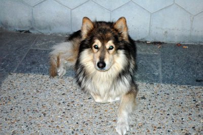 DSC_5077.jpg