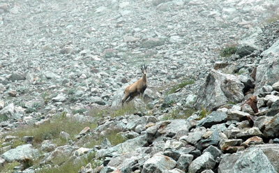 DSC_5105.jpg
