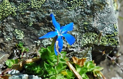 DSC_5177.jpg
