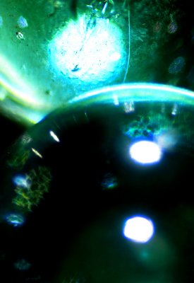 g6/24/586524/3/74196508.tNuh96W6.jpg