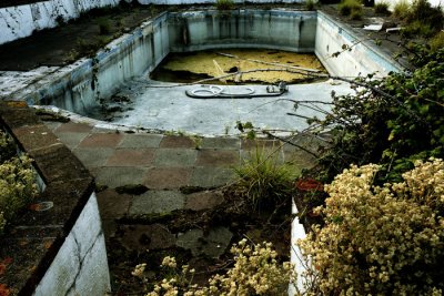 The Forgotten Pool