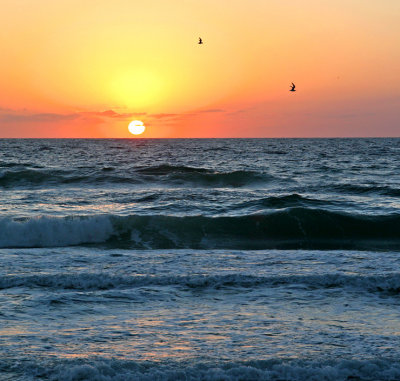 Gulf Sunset II