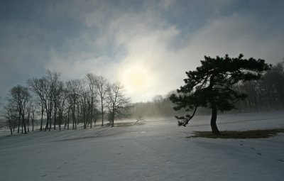 Snow field